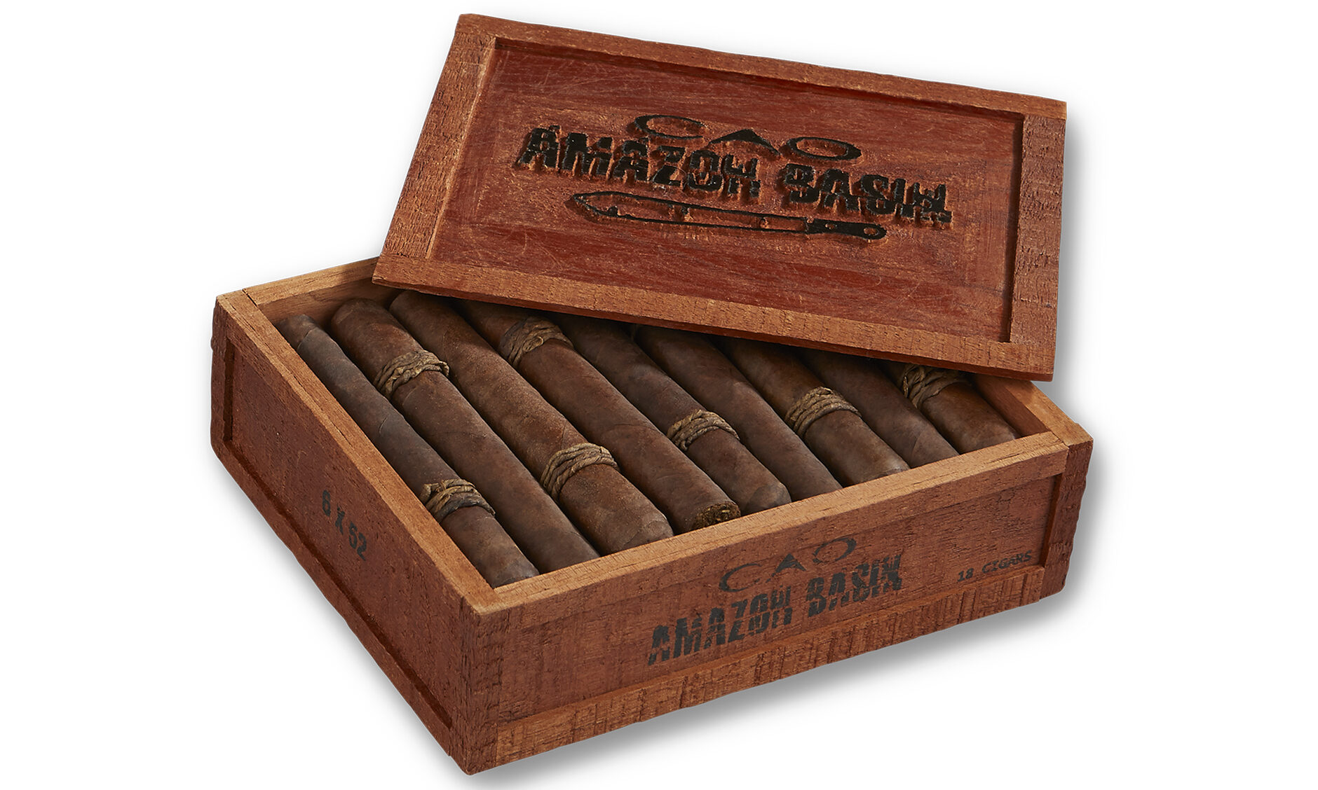 CAO Amazon Basin